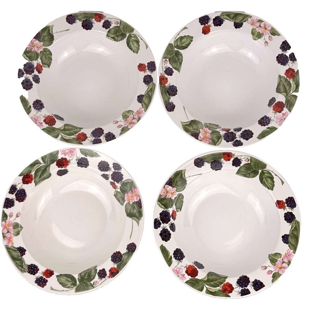 Tienshan Raspberry Social 4 Rimmed Soup Bowls Rustic Cottage Farmhouse Style